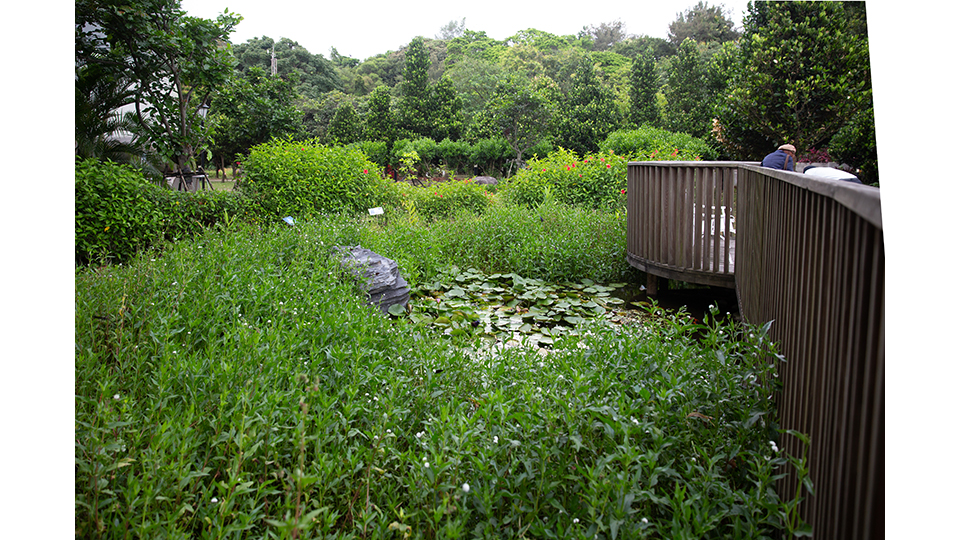 配有雨水回收系統的景觀生態池是北展館與環境友善並存的實踐。